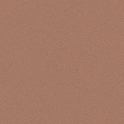 01 ell-liso