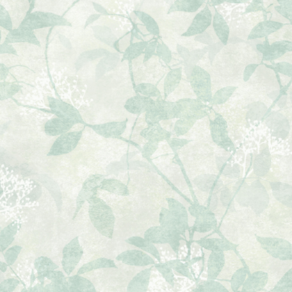 Estampados Amazon 2