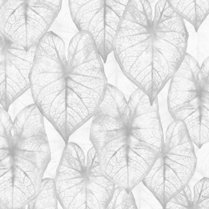 Estampados Amazon 3