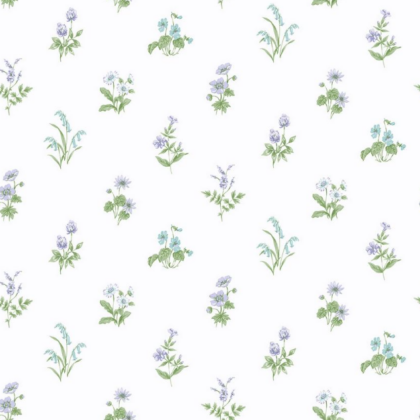 37 petit-flor