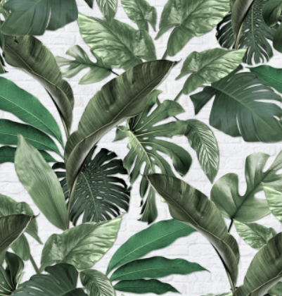 01 excel-natur