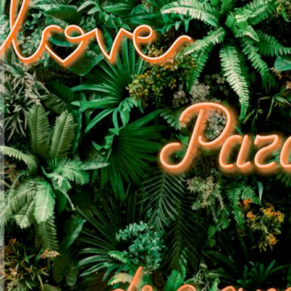 12 youn-natur