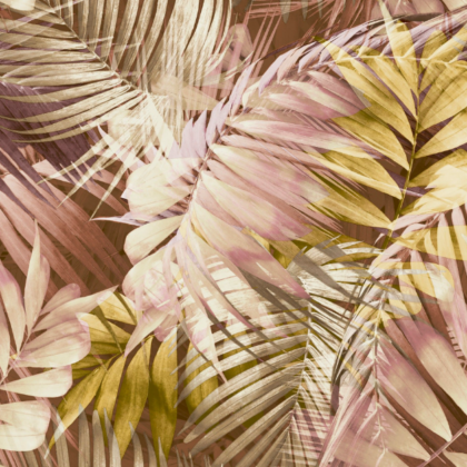 02 bohe-natur