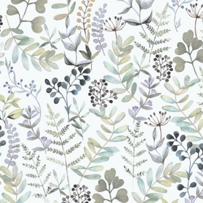 08 bal-natur