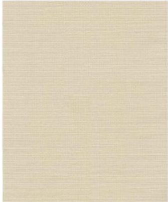 05 text-liso