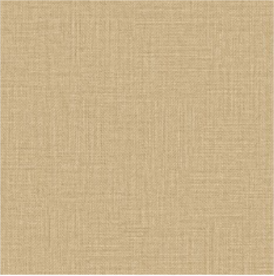 01 BLANC-LISO