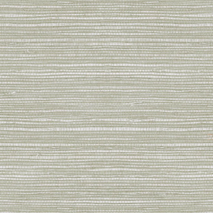 06 GRASS-LISO