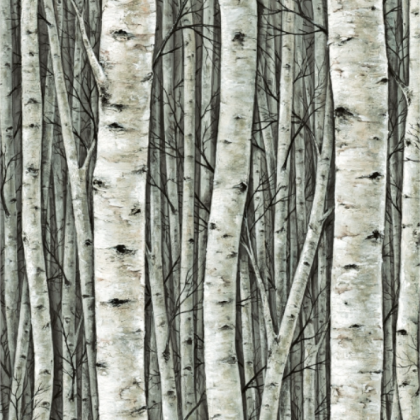 10 PRES-NATUR