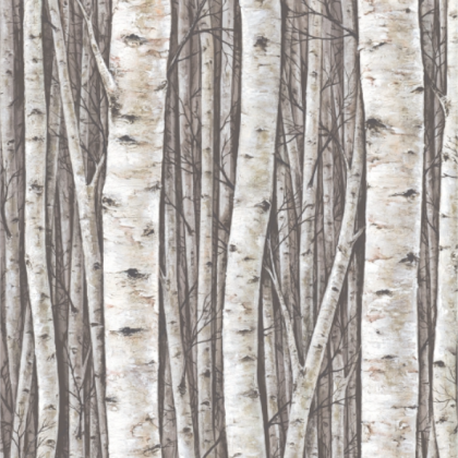12 PRES-NATUR