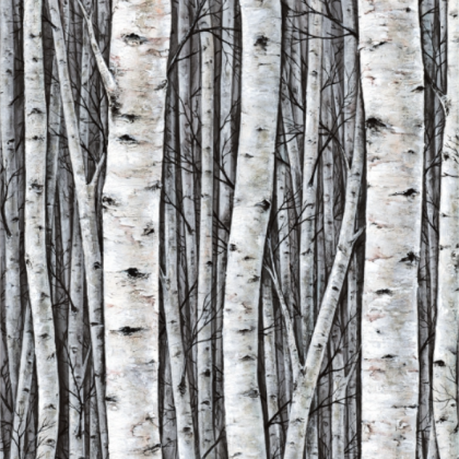 14 PRES-NATUR