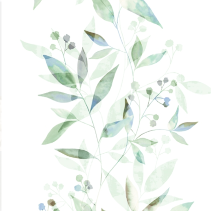 17 PRES-NATUR
