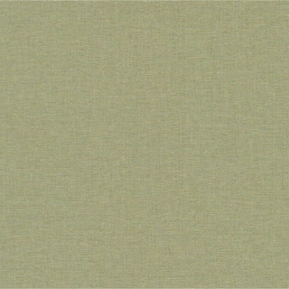 02 color-liso