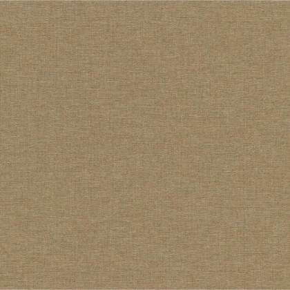 03 color-liso