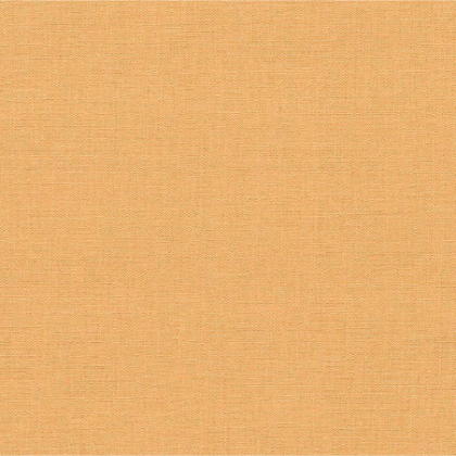 05 color-liso
